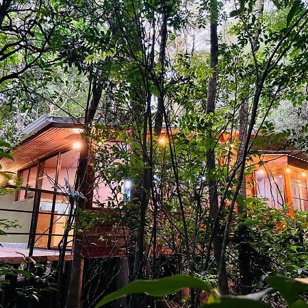 Cabanas La Montana Mountain Lodge Monteverde Εξωτερικό φωτογραφία