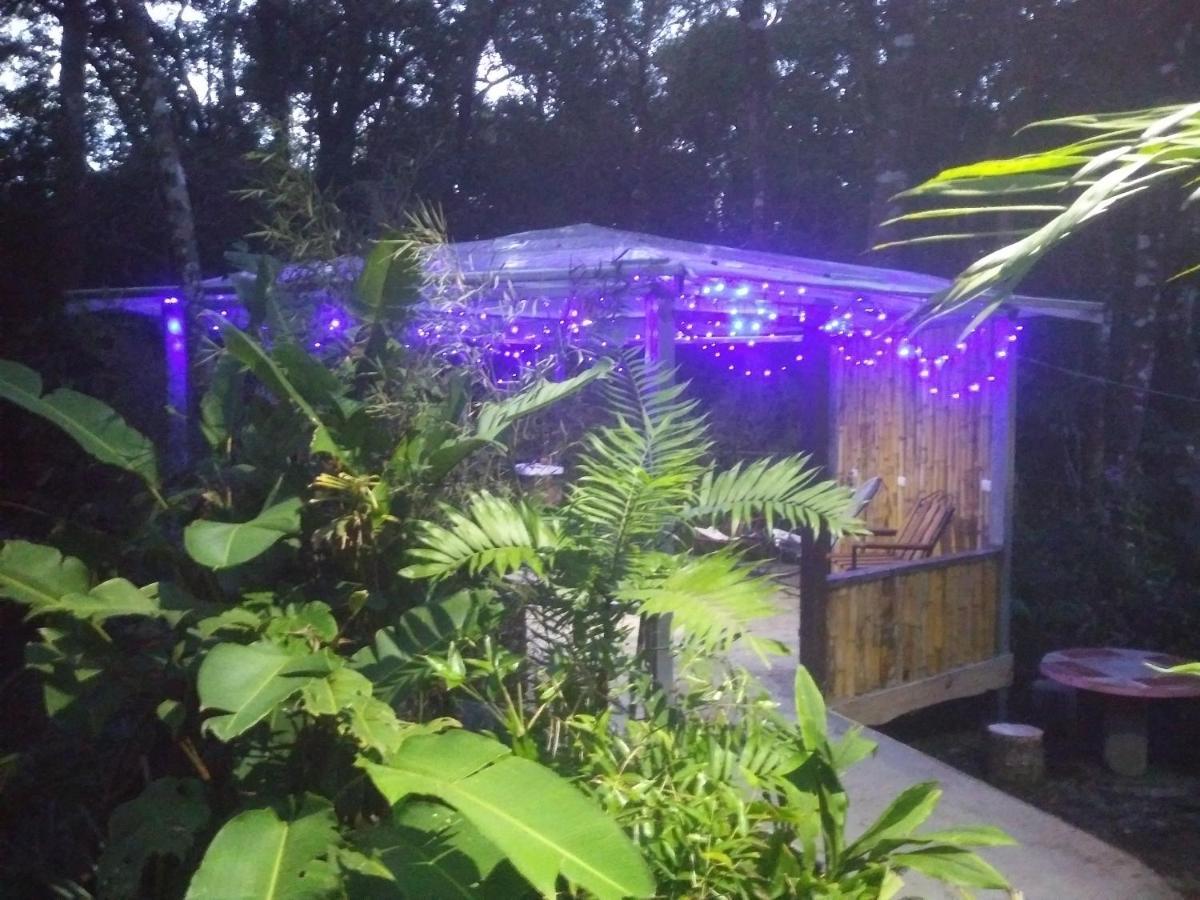Cabanas La Montana Mountain Lodge Monteverde Εξωτερικό φωτογραφία
