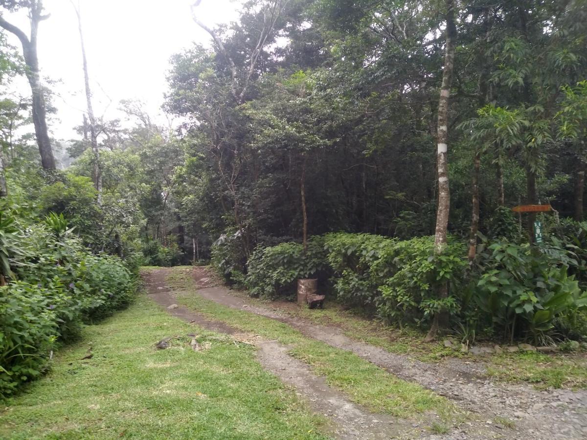 Cabanas La Montana Mountain Lodge Monteverde Εξωτερικό φωτογραφία