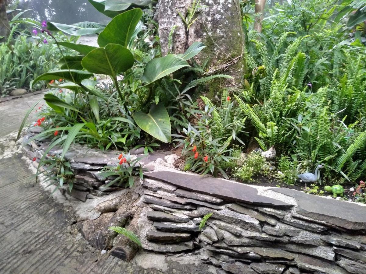 Cabanas La Montana Mountain Lodge Monteverde Εξωτερικό φωτογραφία