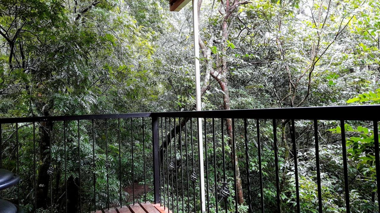Cabanas La Montana Mountain Lodge Monteverde Εξωτερικό φωτογραφία
