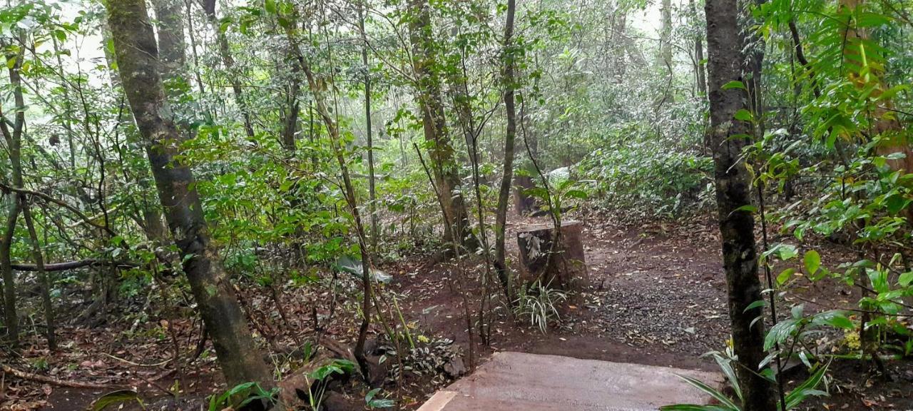 Cabanas La Montana Mountain Lodge Monteverde Εξωτερικό φωτογραφία