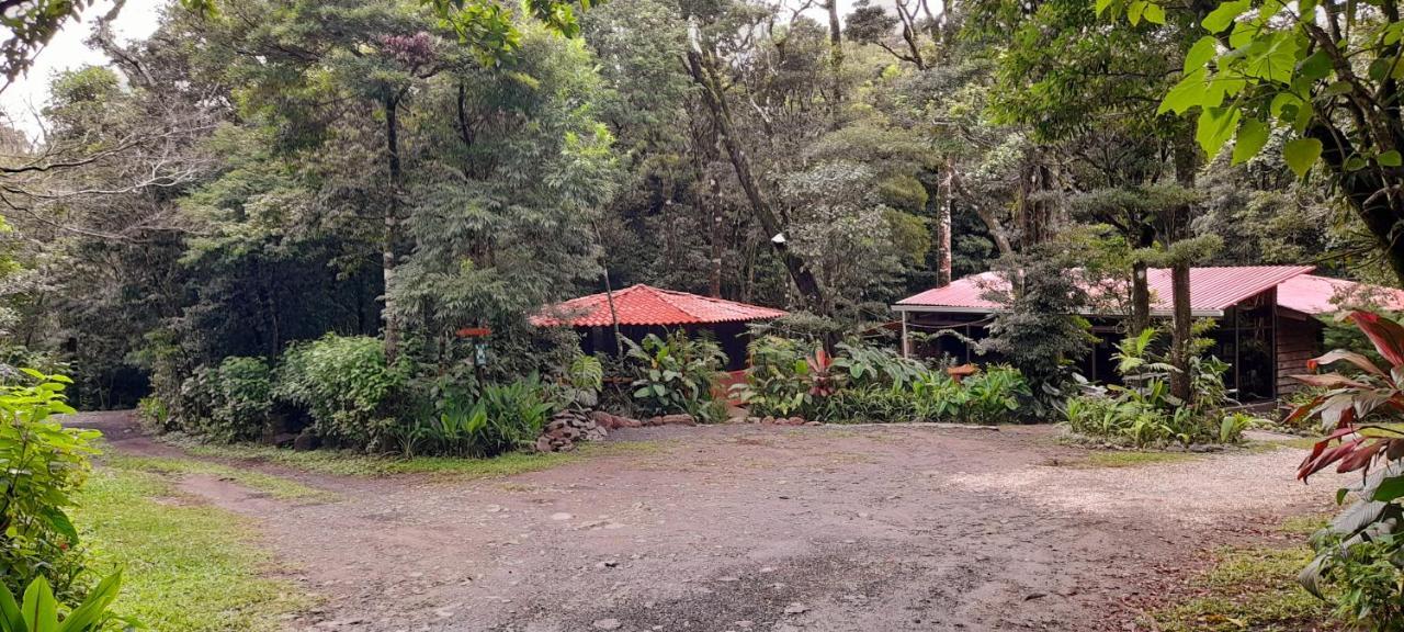 Cabanas La Montana Mountain Lodge Monteverde Εξωτερικό φωτογραφία