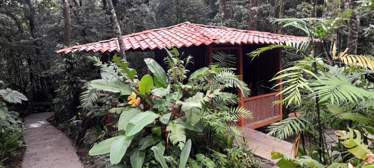 Cabanas La Montana Mountain Lodge Monteverde Εξωτερικό φωτογραφία
