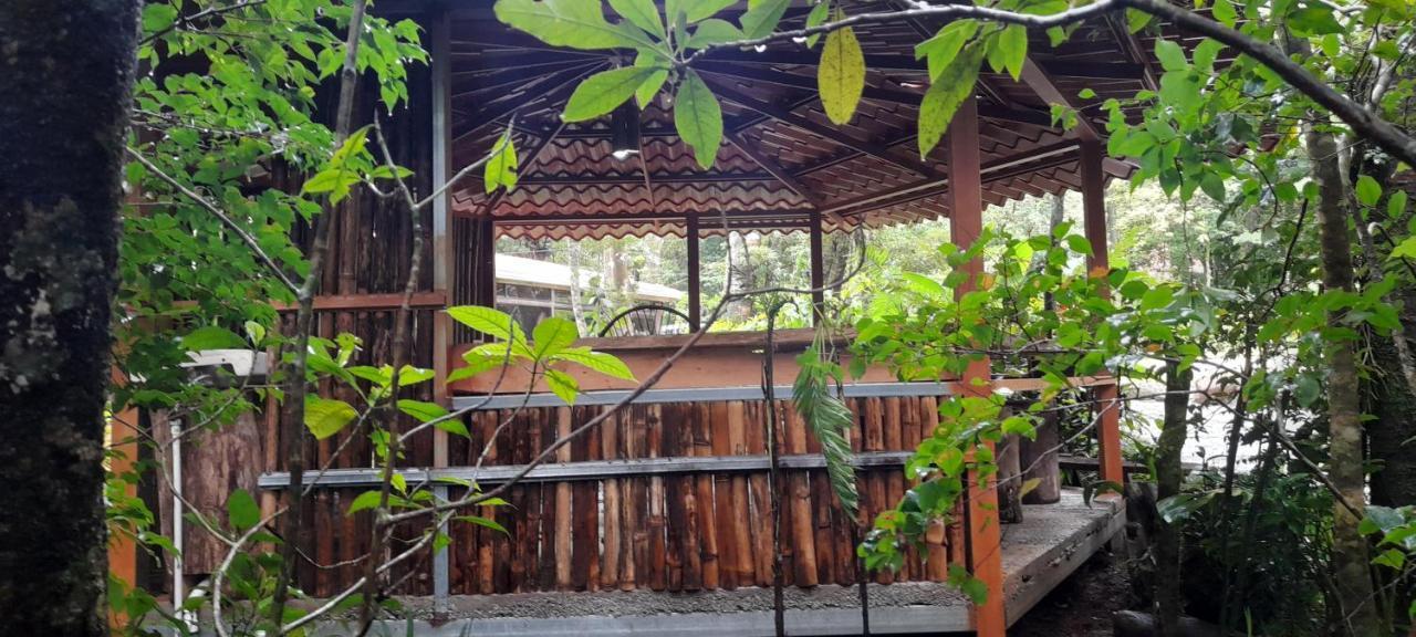 Cabanas La Montana Mountain Lodge Monteverde Εξωτερικό φωτογραφία