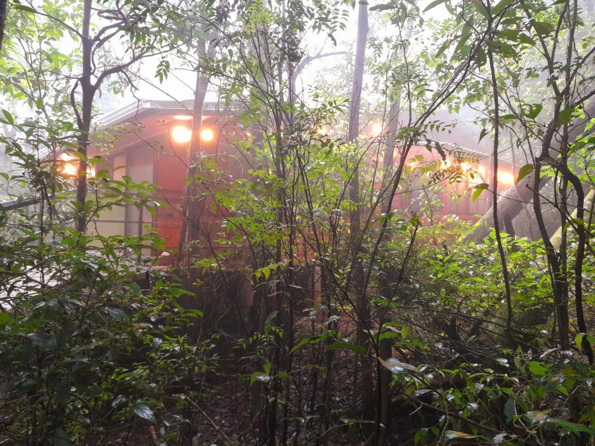 Cabanas La Montana Mountain Lodge Monteverde Εξωτερικό φωτογραφία