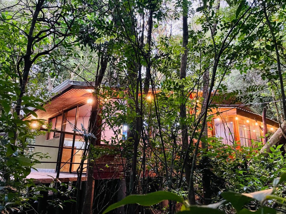 Cabanas La Montana Mountain Lodge Monteverde Εξωτερικό φωτογραφία