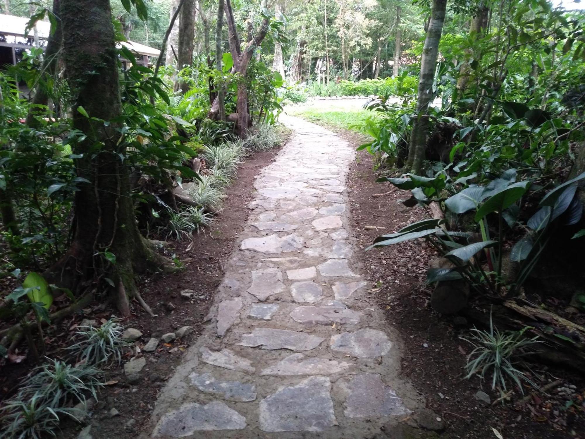 Cabanas La Montana Mountain Lodge Monteverde Εξωτερικό φωτογραφία